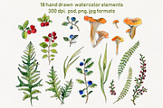 Watercolor berries and herbs clipart, a Pattern Graphic by Dina Guiter (Thumbnail 7 of 8)