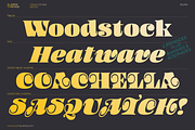 Aljaraz Font, a Serif Font by Cuchi, qué Tipo! Foundry (Thumbnail 5 of 15)