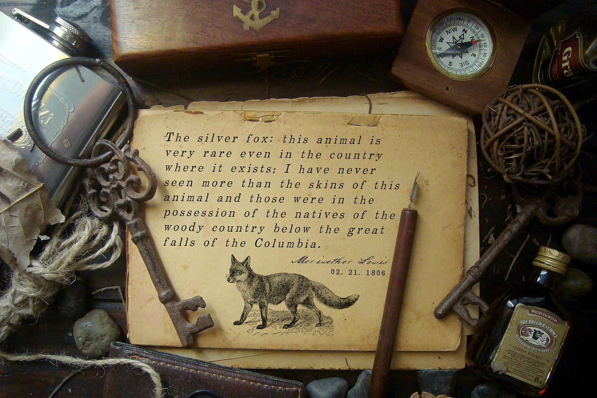 World Explorer Handmade Stamped Font, a Serif Font by Le Paper Cafe (Photo 2 of 10)