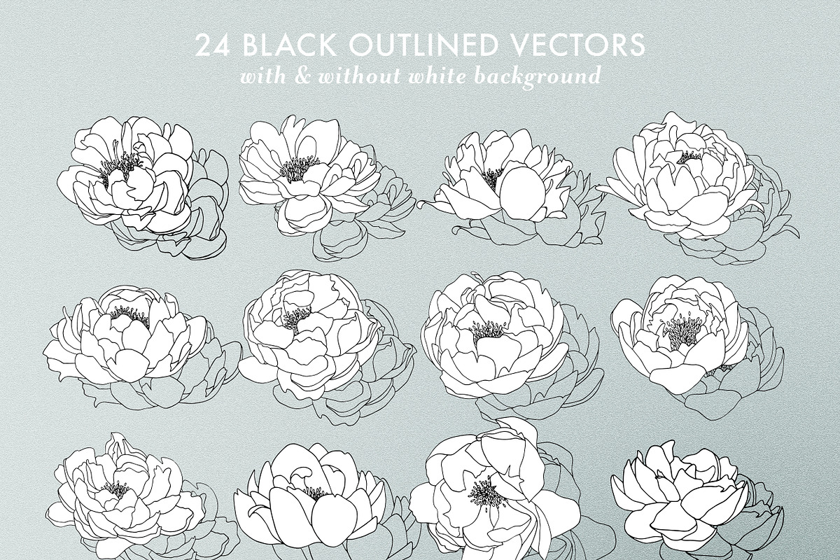 Outlined & Watercolor Peonies, an Illustration by sarahnuzum (Photo 2 of 6)