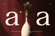 GC Romans Flower - Elegant Serif, a Serif Font by Glyphonic (Thumbnail 10 of 15)