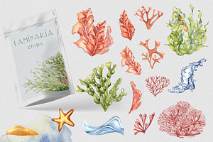 Sea Plants Watercolor Collection