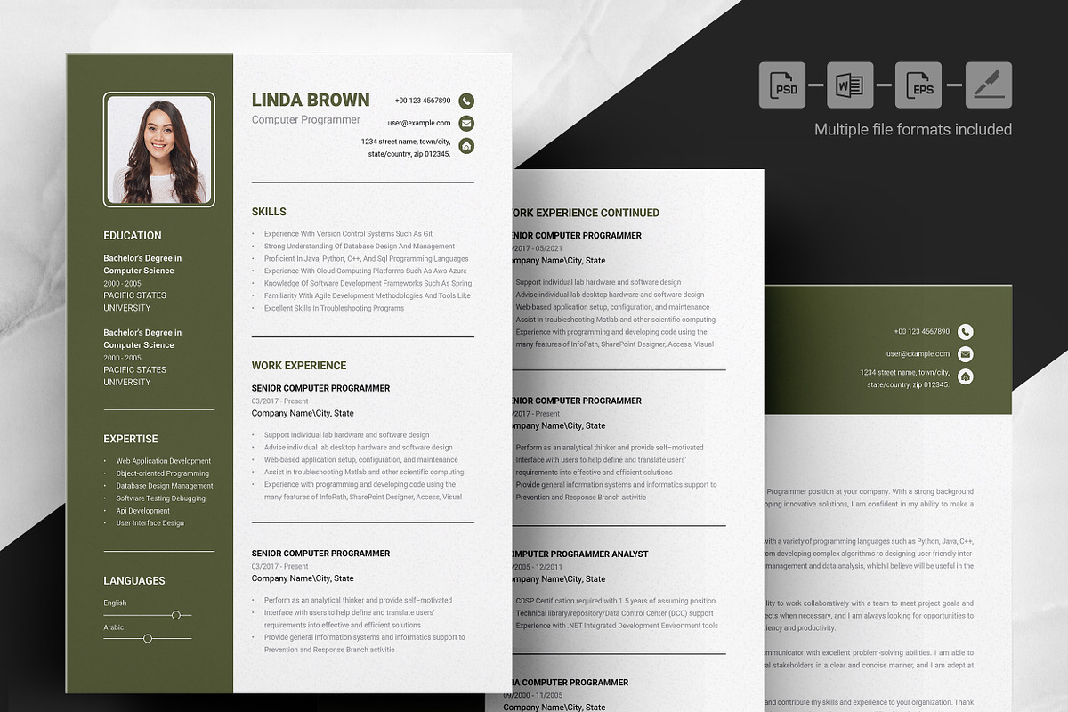 Computer Programmer CV Design, a Resume Template by ResumeInventor (Photo 4 of 6)