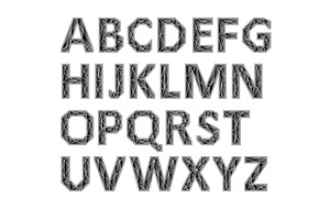 Vector Alphabet Set. Black letters, an Outline Icon by RODINA