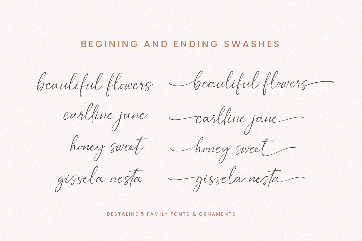 Bestaline Font Collection, a Script Font by Typebae (Photo 6 of 14)