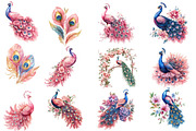Wedding Peacock Clipart, an Illustration by Designworld (Thumbnail 3 of 5)