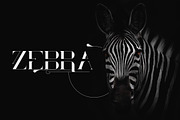 Ultimus serif font + Extras, a Serif Font by VP Fonts (Thumbnail 3 of 11)
