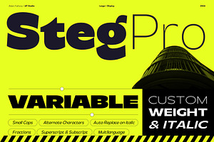 Steg Pro - Variable Fonts