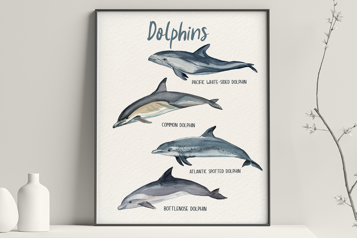 Dolphins Watercolor Clip Art & Print, an Education Illustration by Tati Bordiu (Photo 3 of 4)