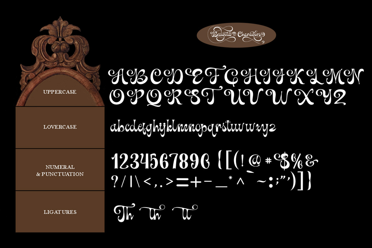 Bulgota, a Script Font by TM Type (Photo 9 of 10)