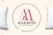 Qianzy – Elegant Font, a Serif Font by Craft Supply Co. (Thumbnail 2 of 8)