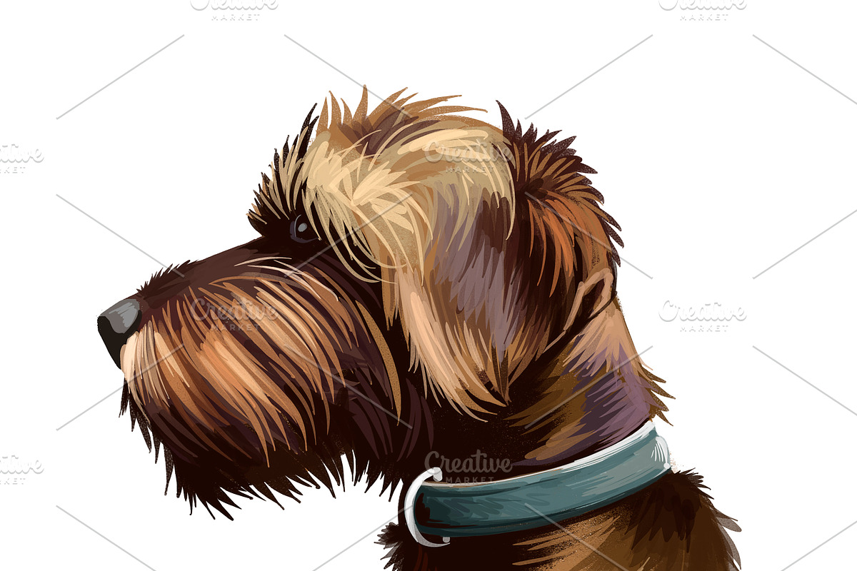 Puppies Dog Breeds Big Bundle 135Pcs, an Animal Illustration by Dneprstock (Photo 5 of 68)