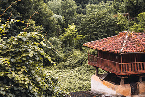Asturian horreo in forest, an Architecture Photo by SkyNext