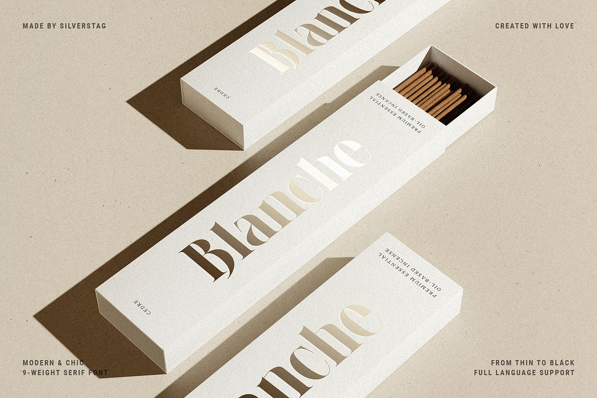 LaRuja - Modern Serif Typeface, a Serif Font by SilverStag Type Foundry (Photo 20 of 20)