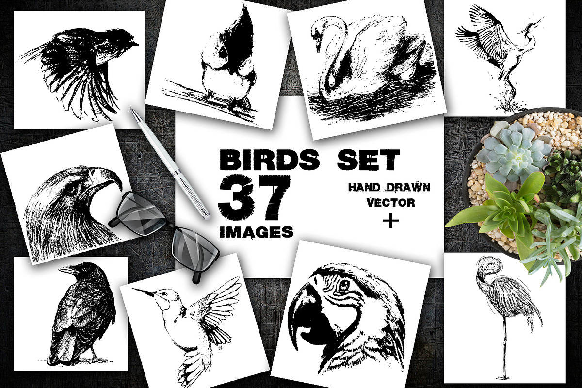 BUNDLE WILD ANIMALS VECTOR, an Animal Illustration by AnastasiyaOleynik (Photo 20 of 20)