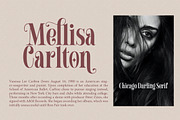 Chicago Darling Serif, a Serif Font by Gatype (Thumbnail 5 of 10)