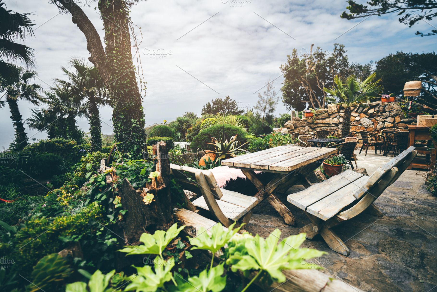 Rustic garden seating with palms, a Sports & Recreation Photo by SkyNext