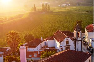 Aerial view of Obidos with green, an Architecture Photo by Nature and travel