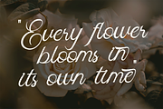 Skipten - Script Handwritten Font, a Script Font by Pekotype (Thumbnail 7 of 11)