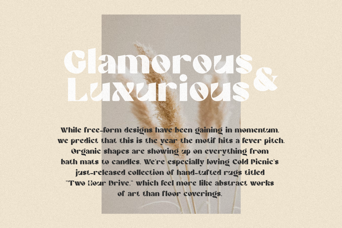 Portent Serif Font, a Serif Font by Typegoals Studio (Photo 2 of 8)