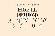 Madelin, a Serif Font by Kenrichi (Thumbnail 12 of 14)