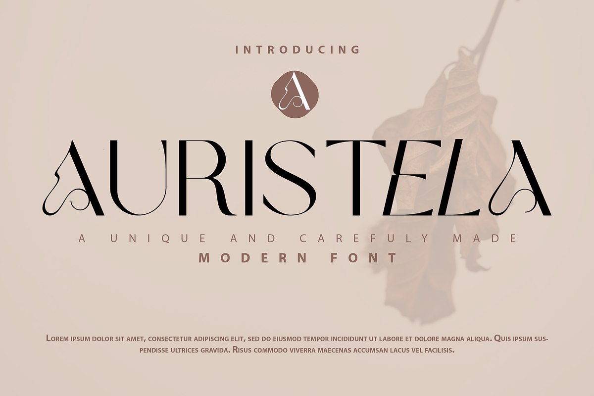 Auristela Modern Font, a Font by Fannan Studio (Photo 1 of 6)