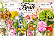 Fresh & Dried Floral Flay Lay Vol 2, a Product Mockup by Eclectic Anthology (Thumbnail 1 of 7)