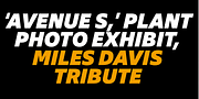 Galvani, a Sans Serif Font by Hoftype (Thumbnail 14 of 15)