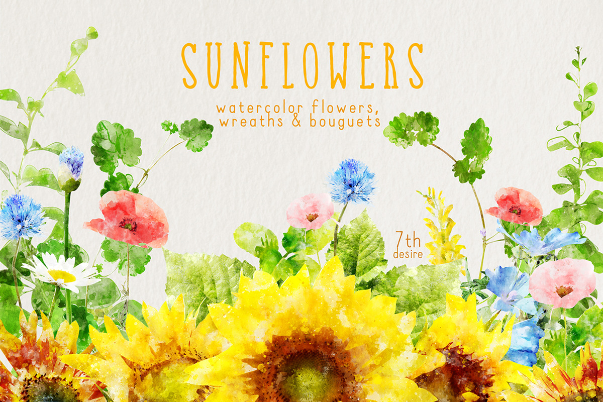 Watercolor Sunflowers, a Graphic by TheSeventhDesire (Photo 1 of 8)