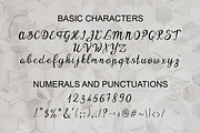 Ypsyllon, a Script Font by Digital Typeface Studio (Thumbnail 2 of 8)
