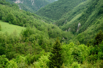 Mountain landscape view, a Background Photo by wr7 Media