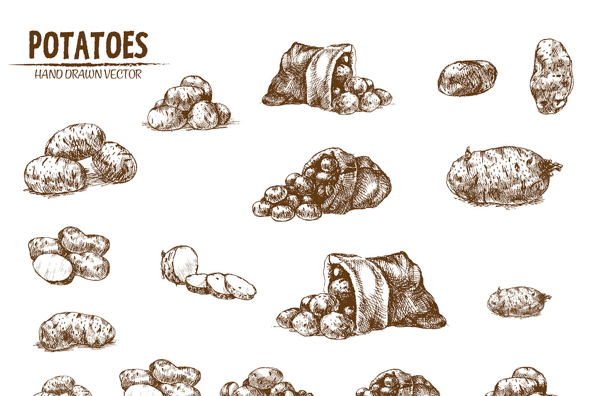 Bundle of 10 potatoes vectors set 2, an Object Graphic by frimufilms