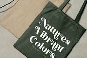 Natural Royale Bold Serif Font, a Serif Font by timelesstype.co (Thumbnail 2 of 20)