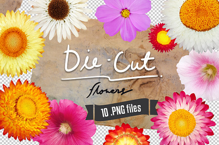 Die-cut Real Flowers