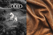 PARIS RODEO | Logo Collection, a Branding & Logo Template by Duet Atelier (Thumbnail 11 of 13)