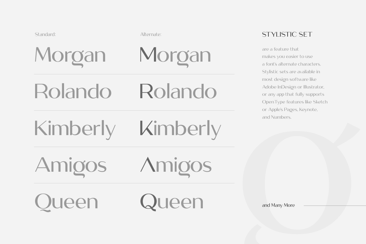 Megante - Classy Font, a Sans Serif Font by Sensatype (Photo 9 of 19)