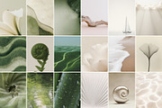 65 Calm Earthy Nature Backgrounds, a Nature Photo by Make Stories Studio (Thumbnail 3 of 5)