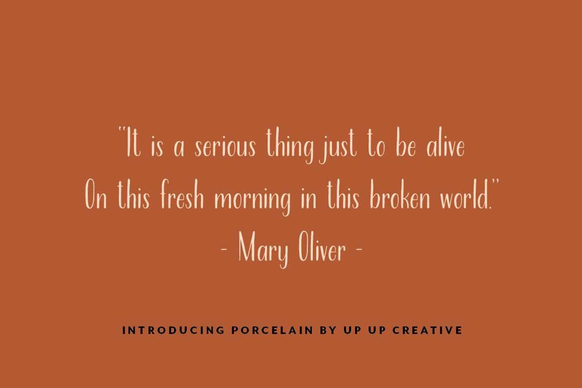 Porcelain Condensed Sans, a Sans Serif Font by Up Up Creative (Photo 9 of 9)