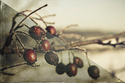 Frames and Edges Two, a Texture Graphic by dyrkwyst textures (Thumbnail 3 of 3)