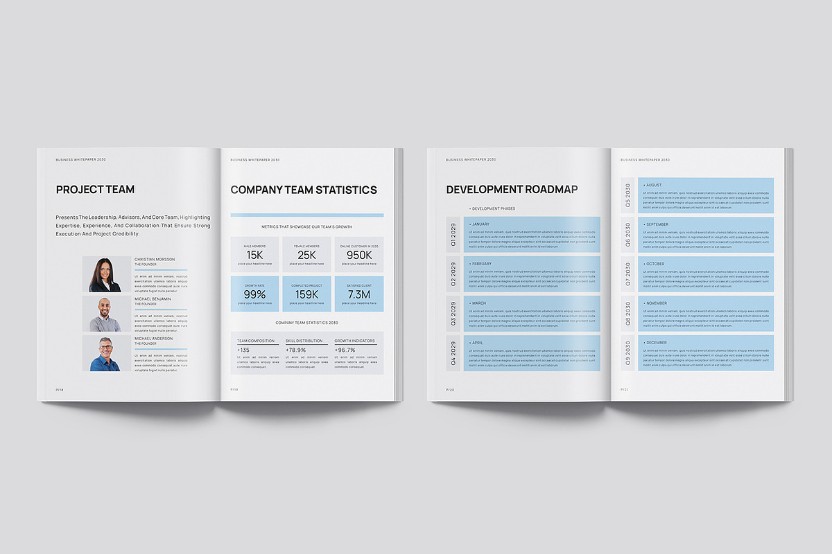 White Paper Template, a Brochure Template by Designsoul14 (Photo 9 of 12)