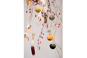Decorative arrangement of small, a Food & Drink Photo by Rohan Photography
