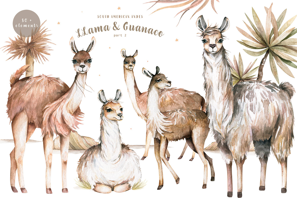 Cute Llama & Guanaco Watercolor Set, an Animal Illustration by Ann Art Houze (Photo 2 of 10)