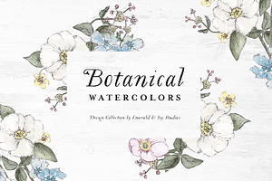 Botanical Watercolor Collection