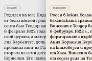 Fedro - 14 Fonts, a Serif Font by Nasir Udin (Thumbnail 16 of 20)