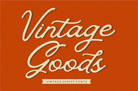 Relieve Vintage Script | Script Fonts ~ Creative Market