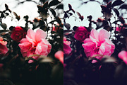 Spring Photoshop Actions, an Action Add-On by Bato (Thumbnail 2 of 16)