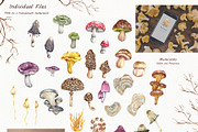 Watercolor Botanical Forest Set, an Animal Illustration by BarvArt (Thumbnail 4 of 20)