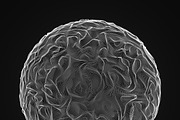 Ultra Thin Spheres 2, an Object Graphic by GarryKillian (Thumbnail 5 of 12)