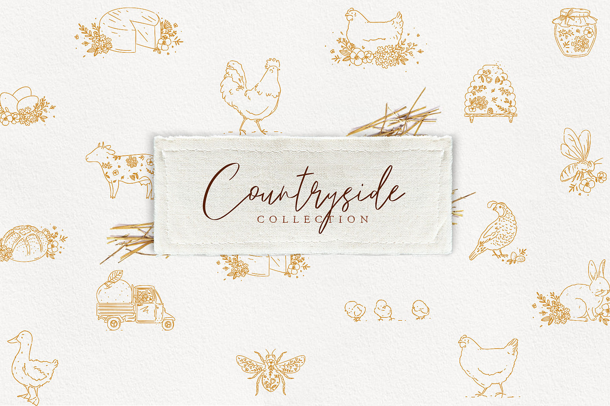 Countryside Collection, a Food Illustration by Anna (Photo 1 of 6)