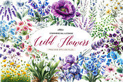 Wild Flowers,Spring Flowers Png, an Illustration by CreationArt (Thumbnail 1 of 5)